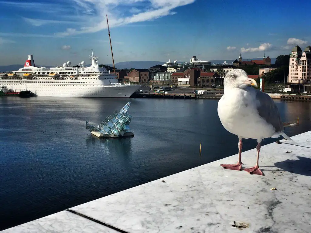 The view from the Opera House on our weekend in Oslo