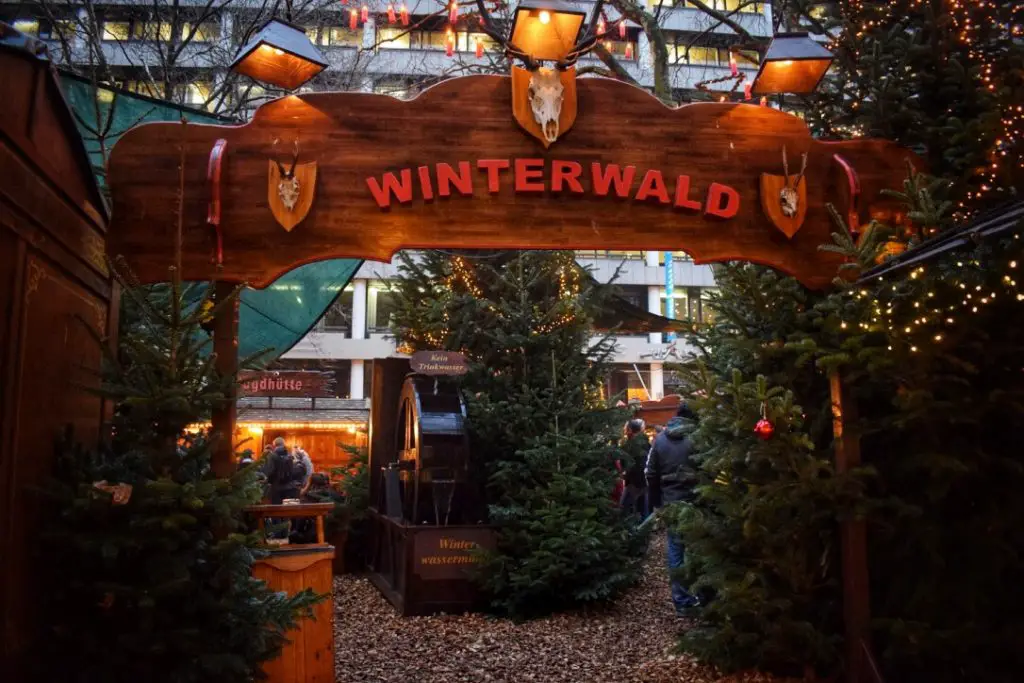 Pine forest at the Hamburg Christmas Markets