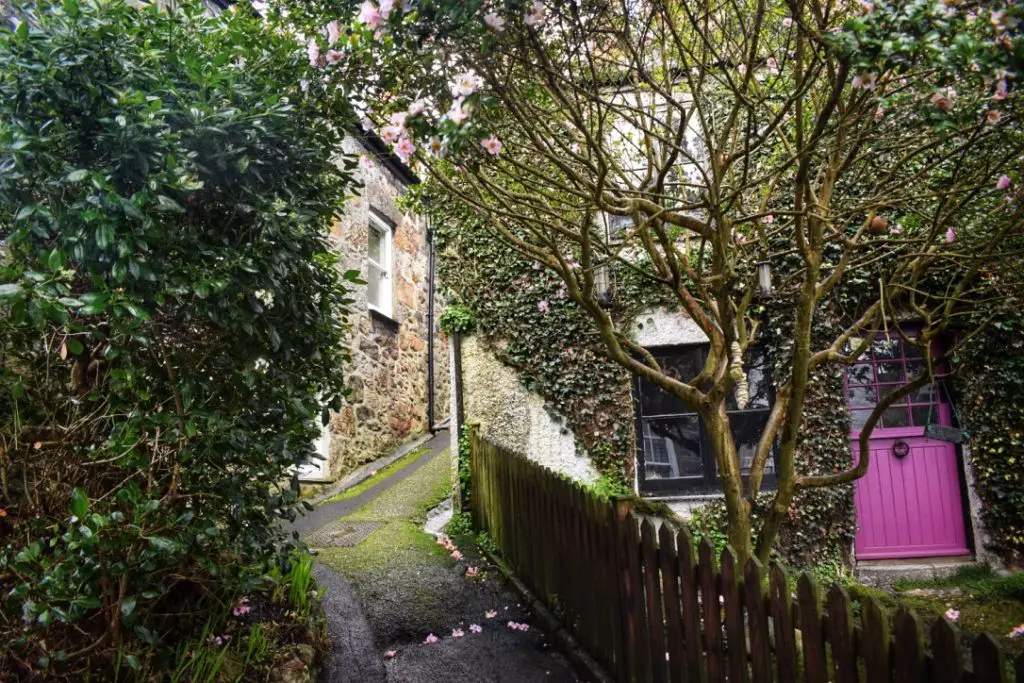 Some of the cosy back streets we encountered in Mousehole