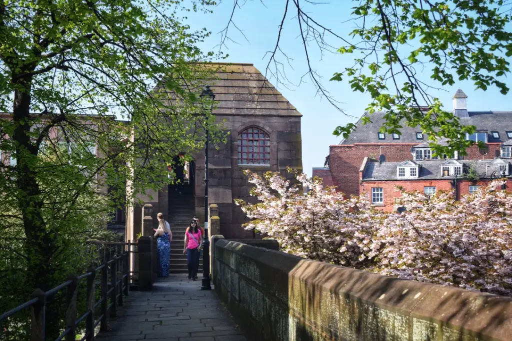 chester england tour guide