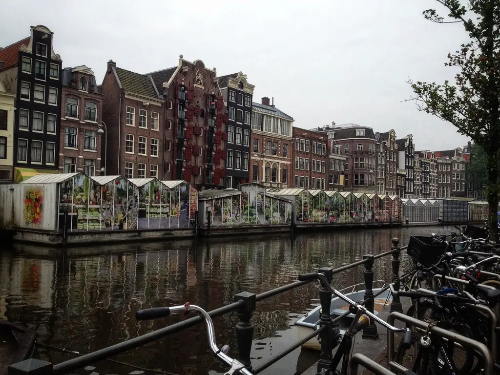 dfds cruise to amsterdam reviews