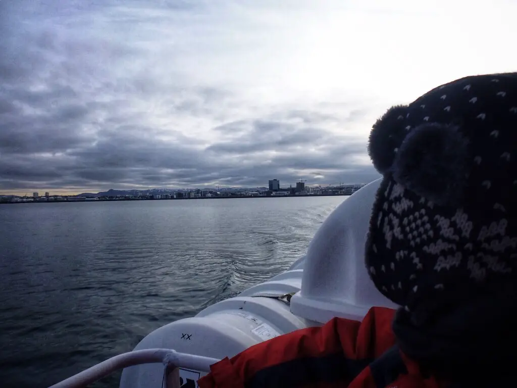 Setting out on our whale watching tour