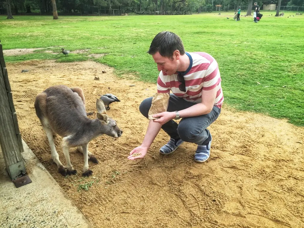 brisbane tourist area