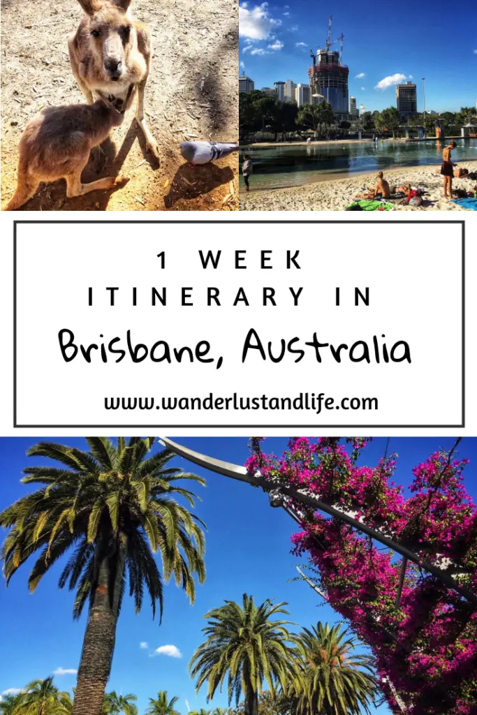 Wondering how long to spend in Brisbane? We have come up with a 1 week Brisbane itinerary. It's the perfect amount of time to get to grips with the city. Brisbane is a great base but if you want to explore more we also have some ideas for the best road trips from Brisbane, and the best weekend trips from Brisbane. #wanderlustandlife #brisbane #australia Pin this 1 week Brisbane itinerary for the best things to do in Brisbane