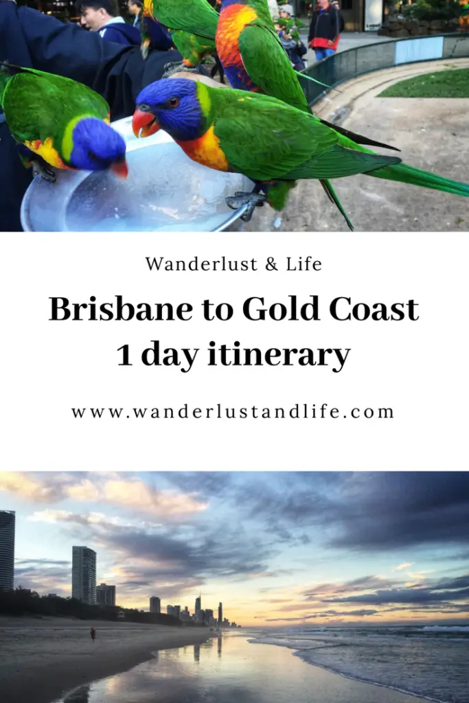 Planning to travel from Brisbane to the Gold Coast for a day trip? This article will help you plan the perfect Brisbane to Gold Coast itinerary no matter if you are driving or getting the train. #wanderlustandlife #goldcoast #queensland #australia
