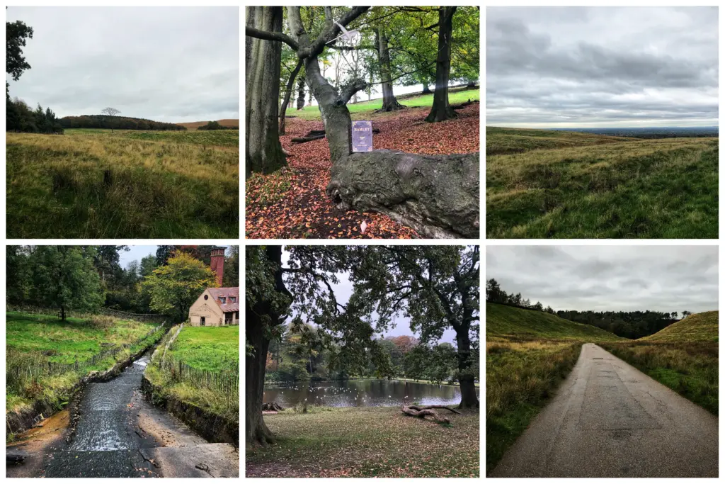 Some of the scenery at Lyme Park which tops our list of things to do in the Peak District