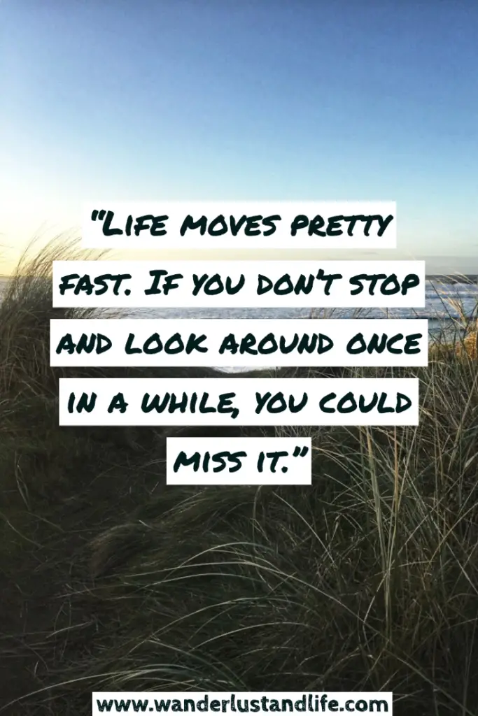 Pin This Adventure Quotes for Instagram