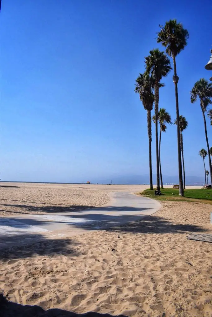 tourist attractions in venice beach california