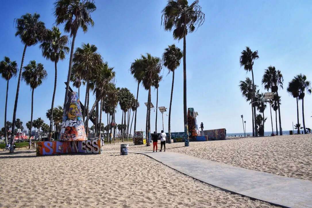 Venice beach skateboard coat rack California
