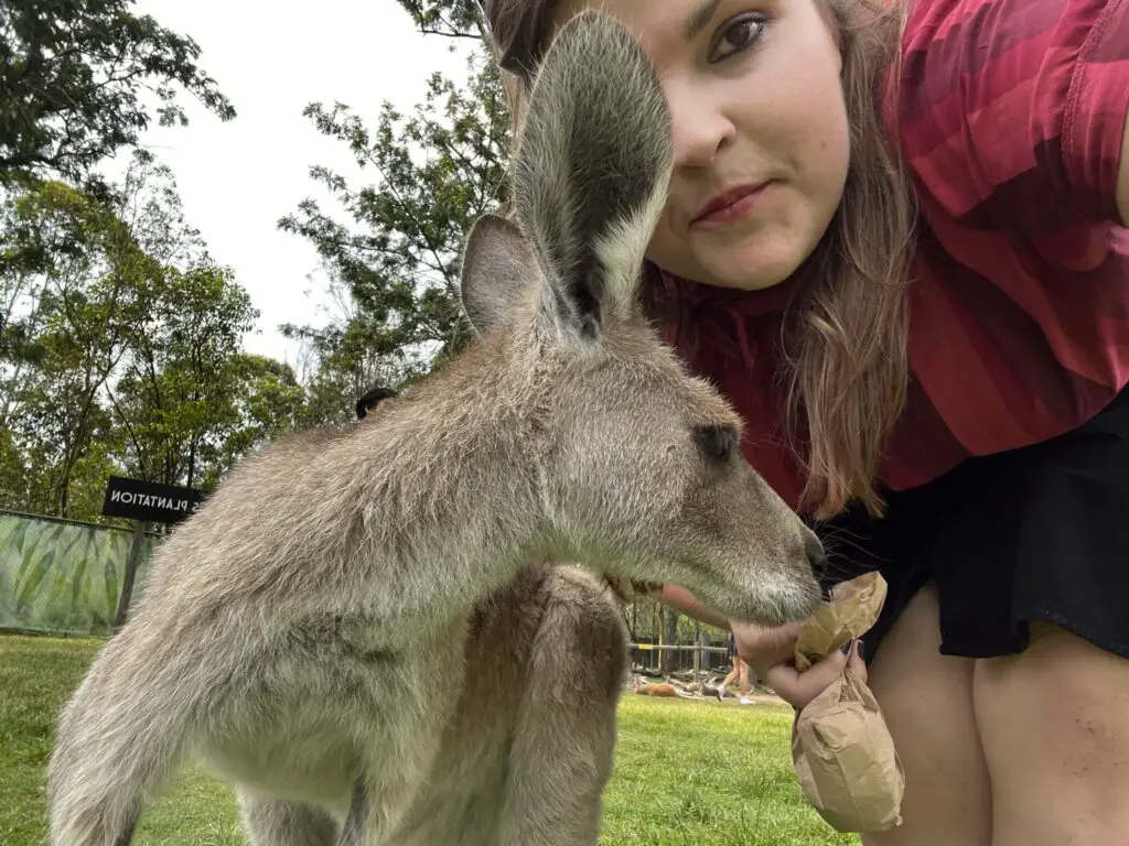 brisbane tourist area