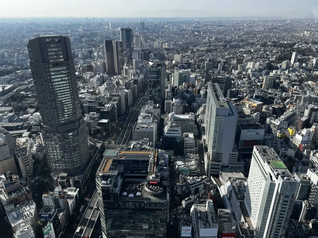 2 days in Tokyo