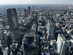 2 days in Tokyo