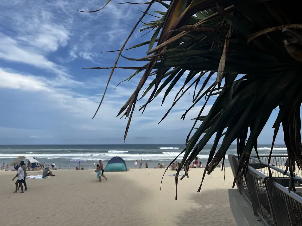 best season to visit gold coast