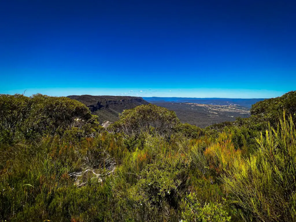 blue mountains day trip blog