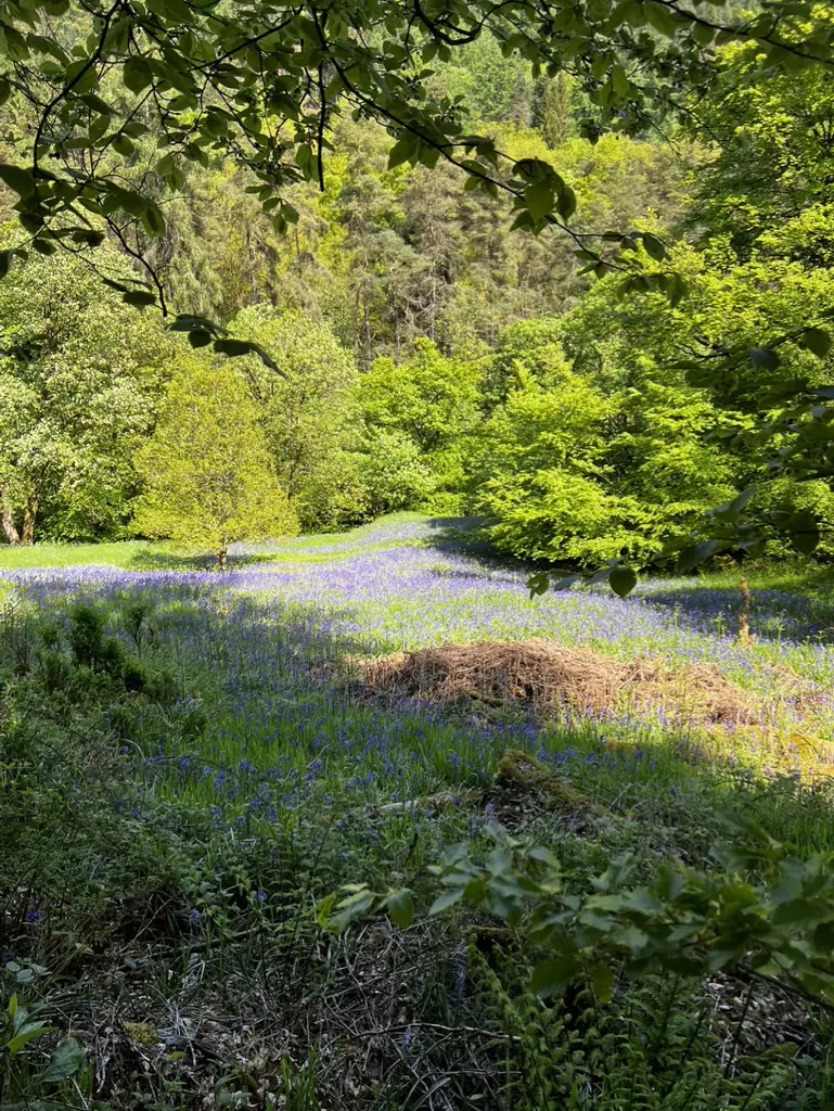 places to visit in manchester day trip