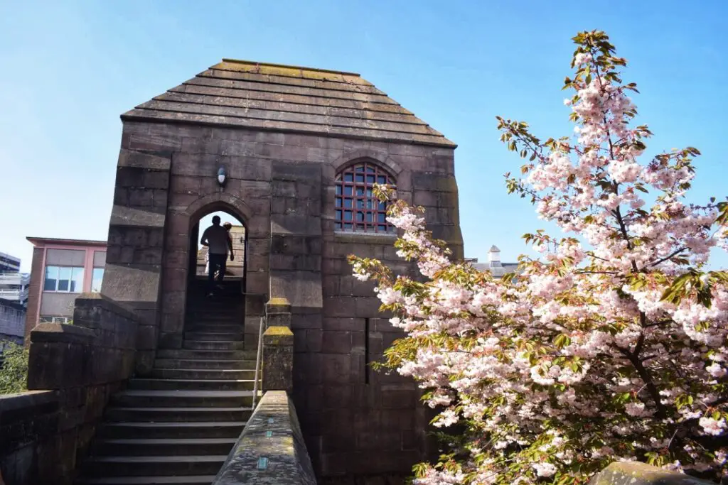 chester england tour guide