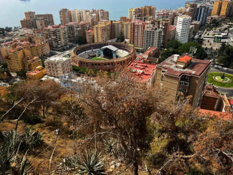 Is Malaga worth visiting? Everything you need to know before visiting the Spanish city